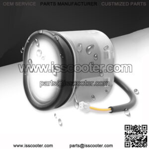 Import placeholder for 31