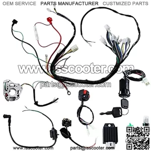 Complete Wiring Harness kit for ATV Quad 4 Four Wheelers 50CC 70CC 110CC 125CC Go Kart Dirt Pit Bikes, with Electrics Stator Coil CDI Wiring Harness Solenoid Relay Spark Plug