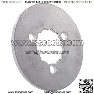 Securing Plate brake drum SALEM SPEED, rear