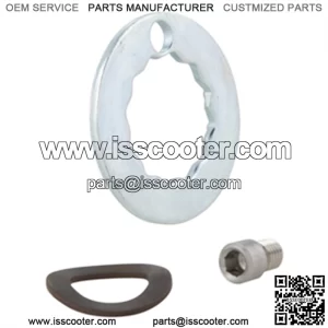 Securing Plate brake drum, rear