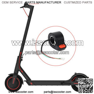 Import placeholder for 175