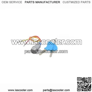 Two Wire Ignition Module (Key Switch) with Keys