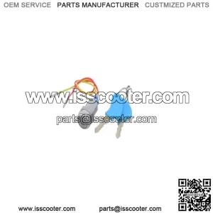Street Scooter Ignition Module (Key Switch) with Keys - 2 Wire