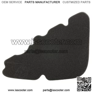 Air Filter Sponge PIAGGIO