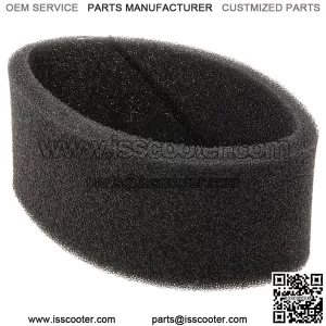 Air Filter Sponge PIAGGIO vario cover