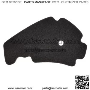 Air Filter Sponge PIAGGIO PREMIUM