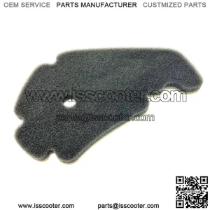 400 ie 4V Light 06-08 Double Layer Air Filter Element