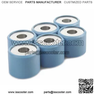 Variator Rollers PIAGGIO 20,7x17 mm 10,7g