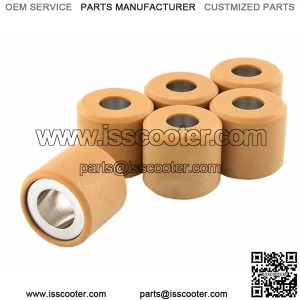 Variator Rollers RMS 19x17 mm 7,3g
