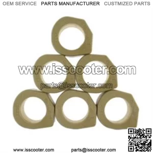 Variator Sliding Weights, Dr. Pulley, 25mm x 22mm, 250cc - 500cc SYM Citycom