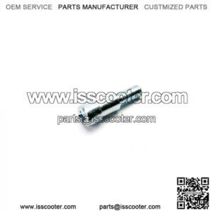 Clutch / Brake Lever Pivot Bolt (Vintage Vespa, Stella)