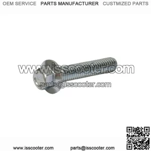 Side Mounting Fuel Tank Bolt for the Baja Mini Bike MB165 & MB200 (Baja Heat, Mini Baja, Baja Warrior)