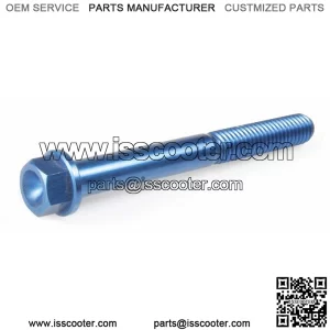 Screw M6x55 mm, hexagonal, TOP PERFORMANCE