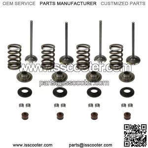 Sistema de Vlvula de Admisi/ Escape de Motor de Hierro para CFMOTO X5 500CC ATV UTV Piezas de la vlvula de escape de entrada