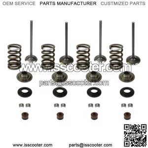 1 Juego de kits de vlvula de admisi/ escape de hierro para scooters QUAD CFMOTO CF188 CF500   Piezas de la vlvula de escape de entrada