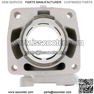 Racing Cylinder MALOSSI 181 cc