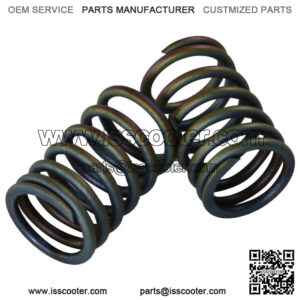 Performance Valve Spring Set GenuineGY6