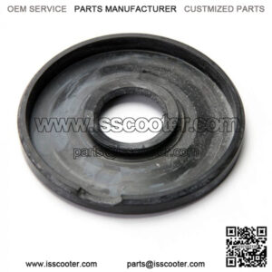 Oil Seal (Clutch Side); Vespa LF